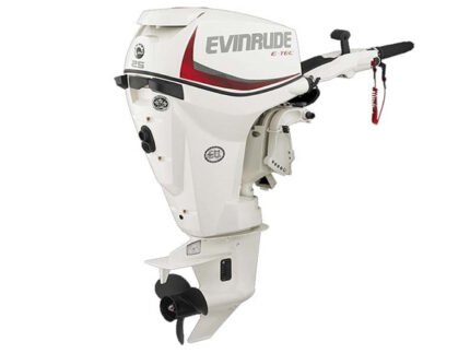 Evinrude E-TEC 25 HP E25DTSL