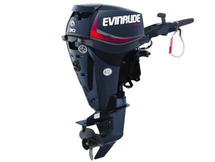 2018 Evinrude E-TEC 30 HP